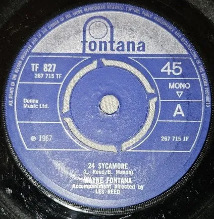 24 Sycamore