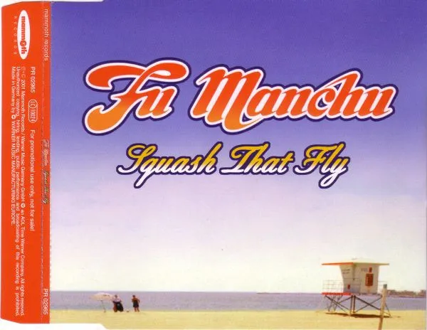 Squash That Fly
