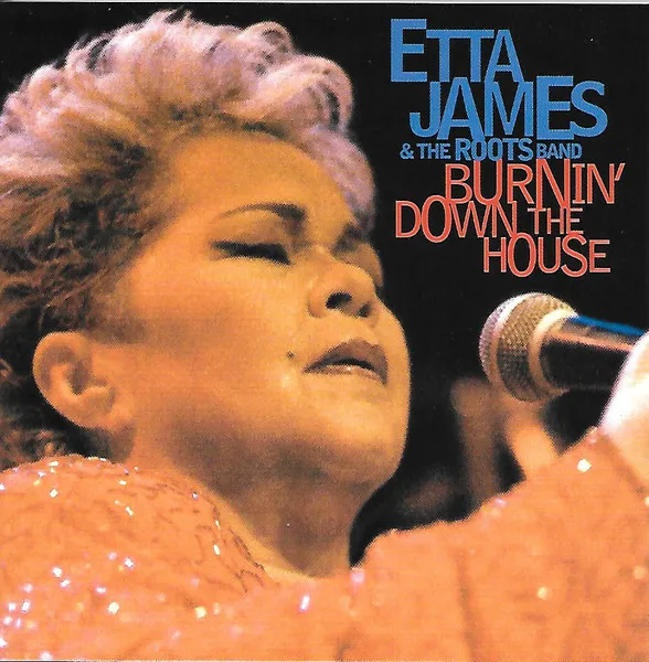 Burnin' Down The House