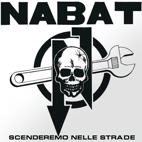 Scenderemo Nelle Strade