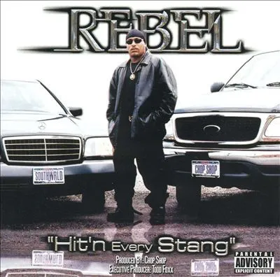 Hit'n Every Stang