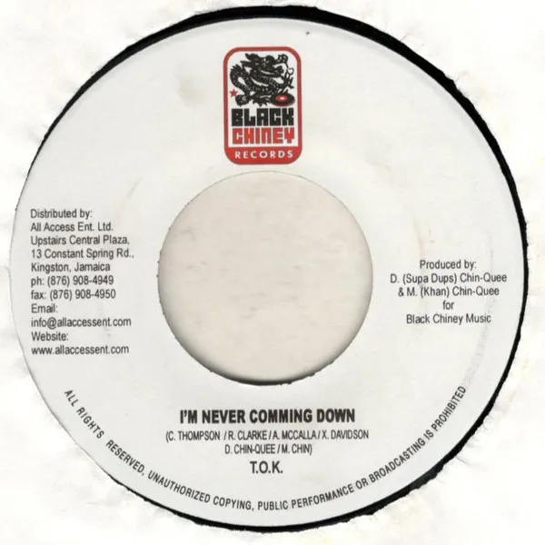 I'm Never Coming Down / The System