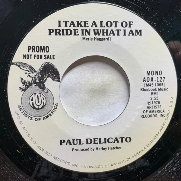 I Take A Lot Of Pride In What I Am