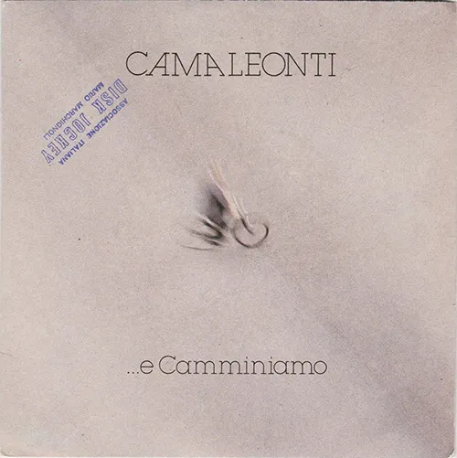 ...E Camminiamo