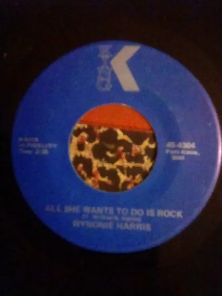 All She Wants To Do Is Rock