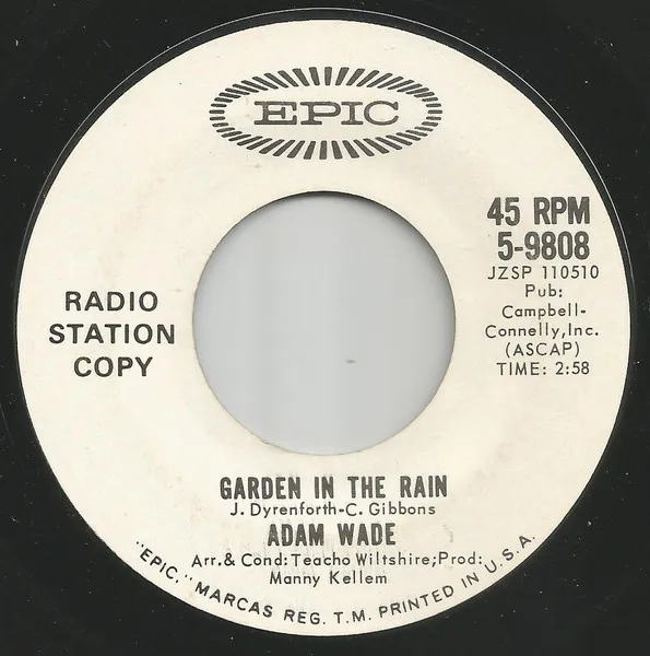 Garden In The Rain