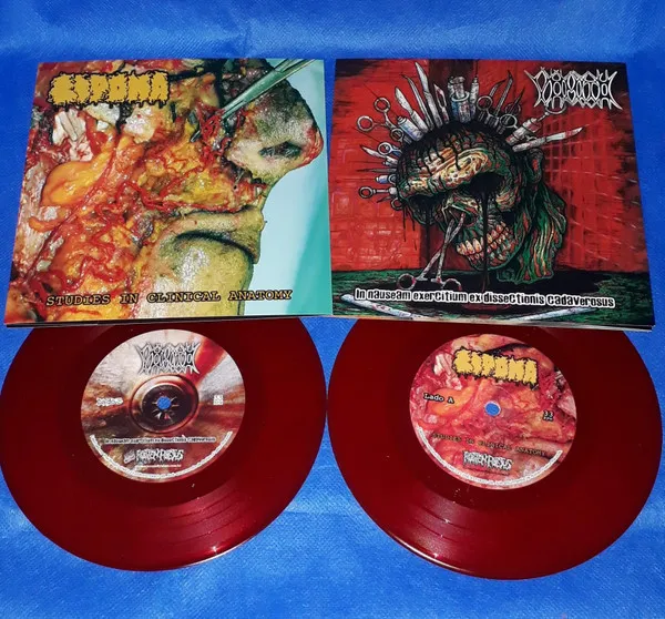 In Nauseam Exercitium Ex Dissectionis Cadaverous / Studies In Clinical Anatomy