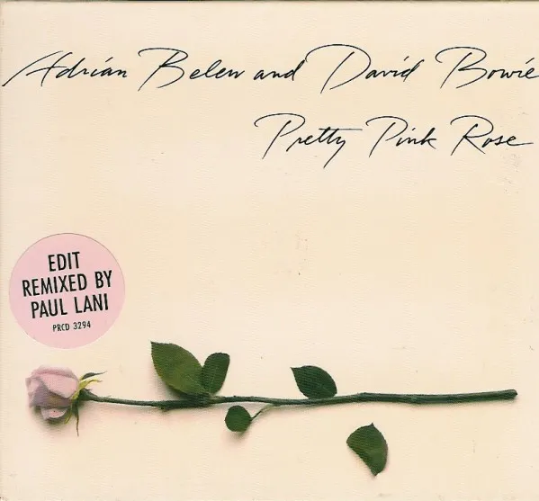 Pretty Pink Rose