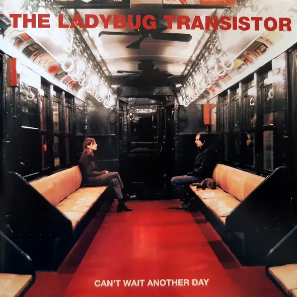 The Ladybug Transistor