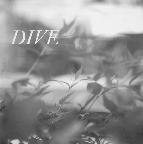Dive