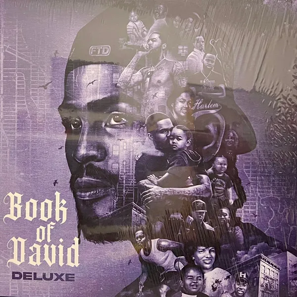 Book of David