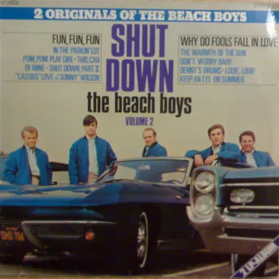 The Beach Boys