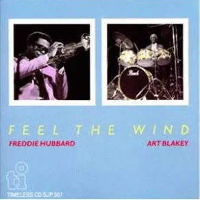 Feel The Wind