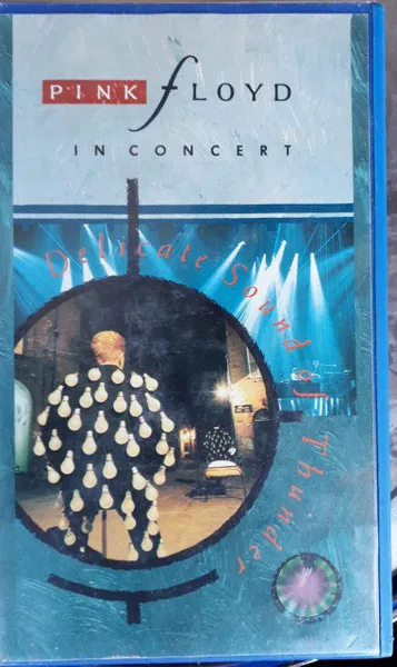 In Concert - Delicate Sound Of Thunder