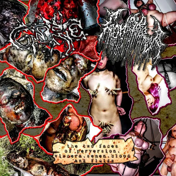 The Two Faces Of Pervertion, Viscera, Semen, Blood And Fluids