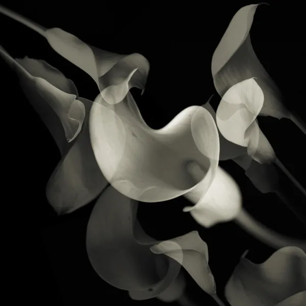 Edith EP