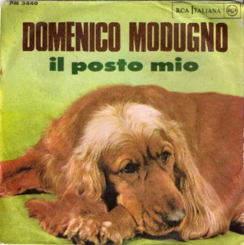 Il Posto Mio