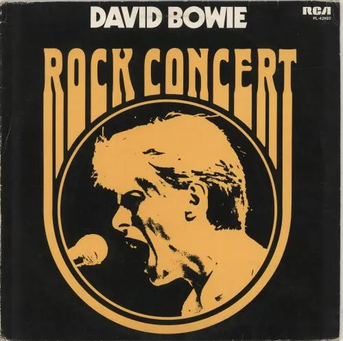Rock Concert