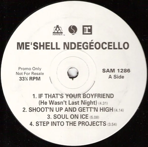 Me'Shell NdegéOcello