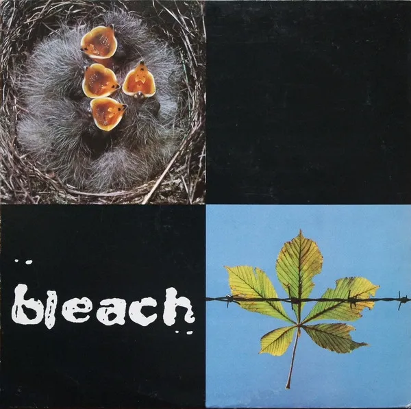 Bleach