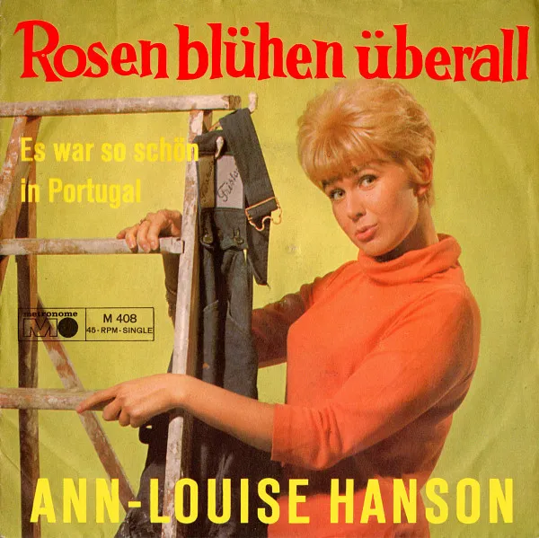 Rosen Blühen Überall