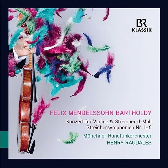 Concerto For Violin & String Orchestra In D Minor