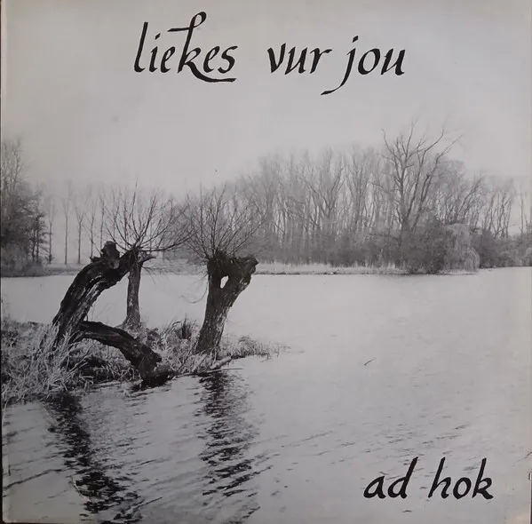 Liekes Vur Jou