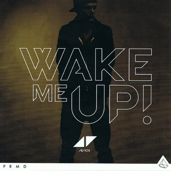Wake Me Up