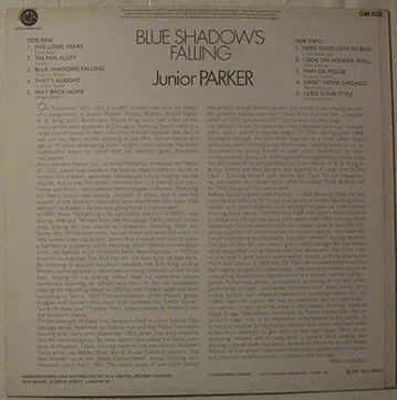 Blue Shadows Falling