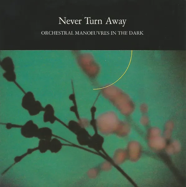 Never Turn Away