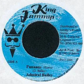 Punaany (Remix)