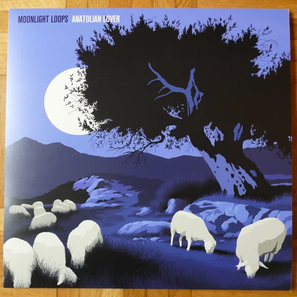 Moonlight Loops