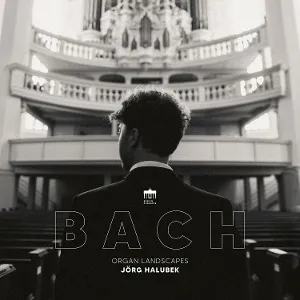 Bach: Organ Landscapes