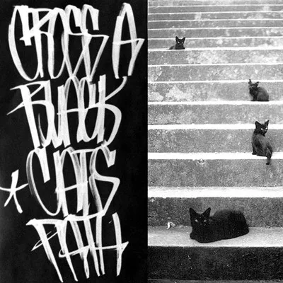 Cross A Black Cat's Path
