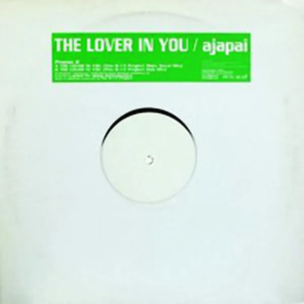 The Lover In You (B-15 Project Mixes)