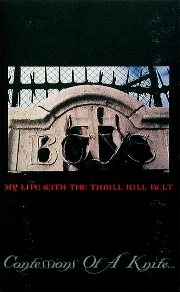My Life With The Thrill Kill Kult