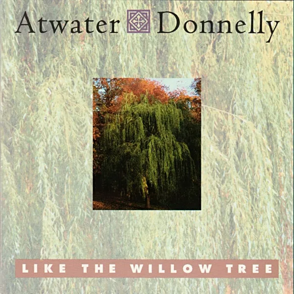 Like The Willow Tree