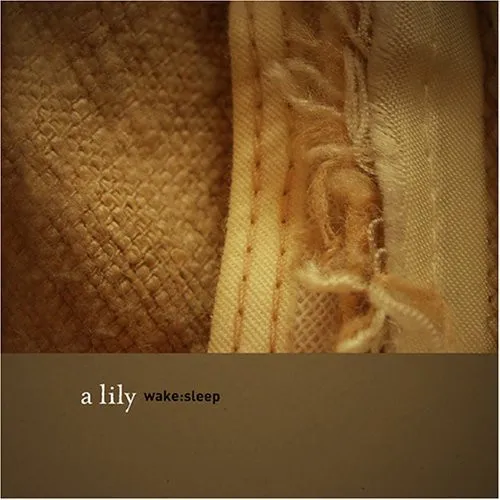 Wake:sleep