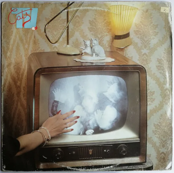 Cats TV