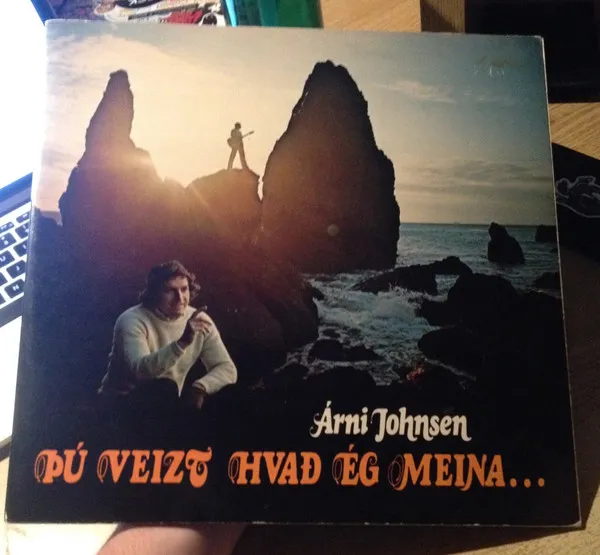 Þú Veizt Hvað Ég Meina...