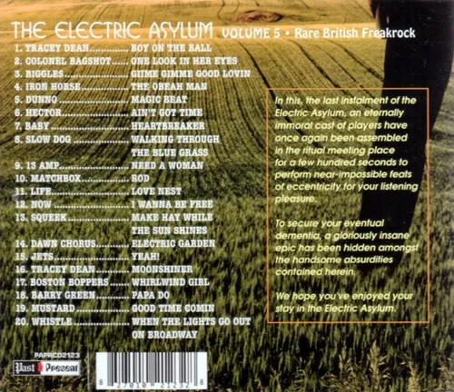 The Electric Asylum Vol.5