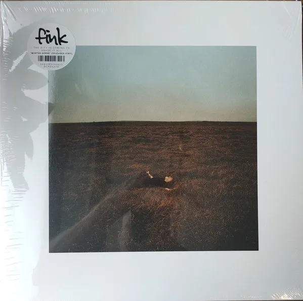 The City Is Coming To Erase It All (Winter Gorse Vinyl)