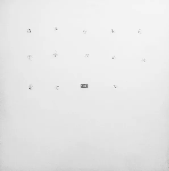 Split Series #13