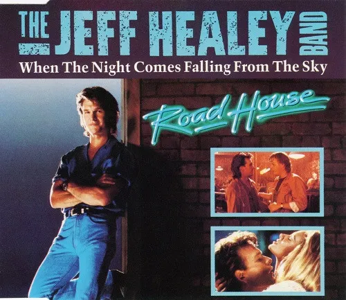 When The Night Comes Falling From The Sky
