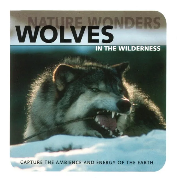 Nature Wonders - Wolves In The Wilderness