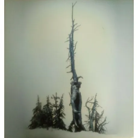 Ascetic Dissociations