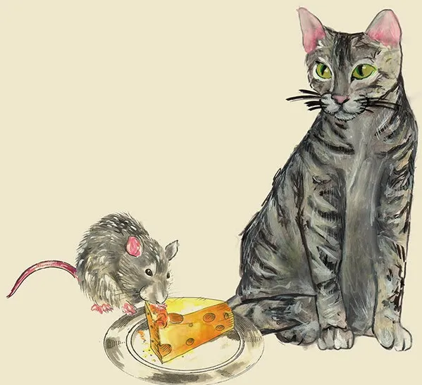 Gatos E Ratos