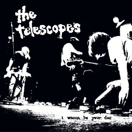 Down The Stairs / I Wanna Be Your Dog