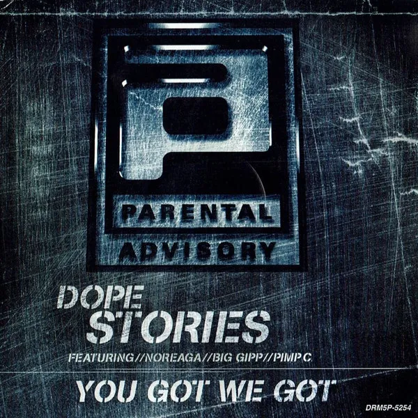 Dope Stories / You Got We Got