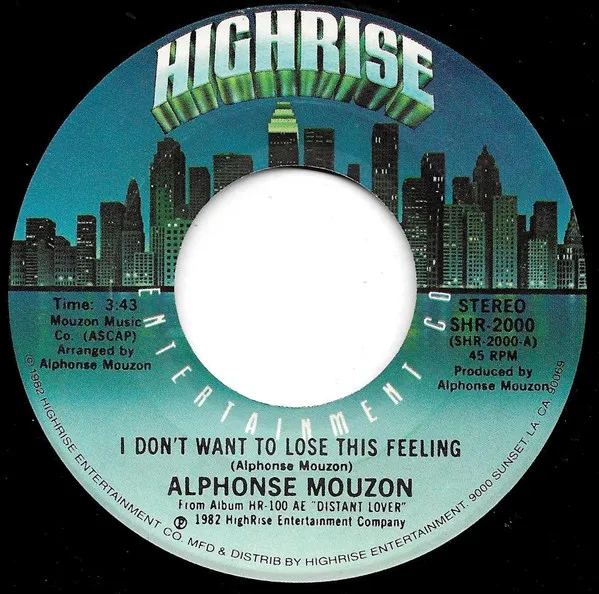 I Don't Want To Lose This Feeling / The Lady In Red